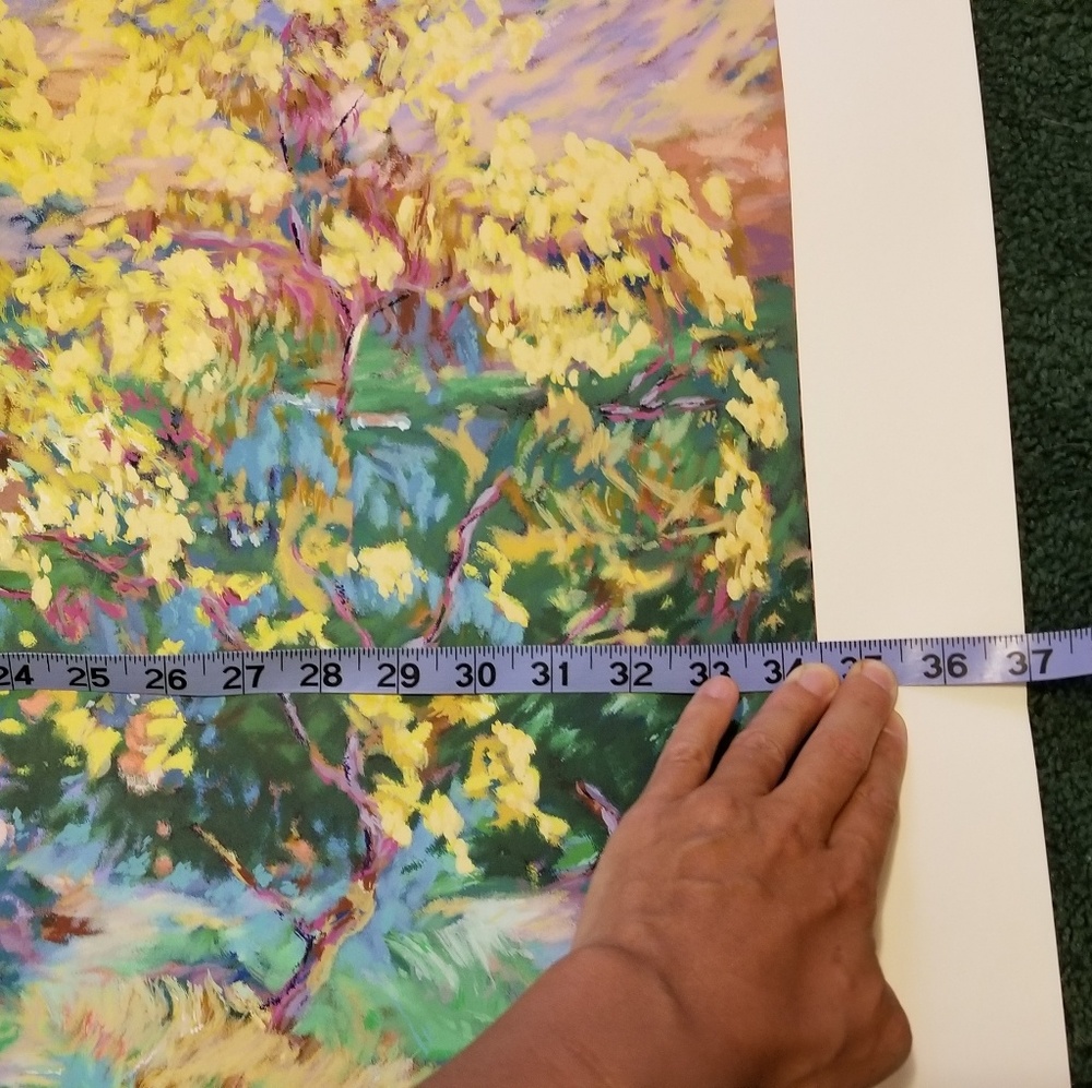 💥SOLD SOLD SOLD💥 print 37" x 30" - Picture 3 of 5